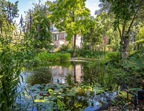 De tuintrends van 2025: duurzaam, natuurlijk en stijlvol