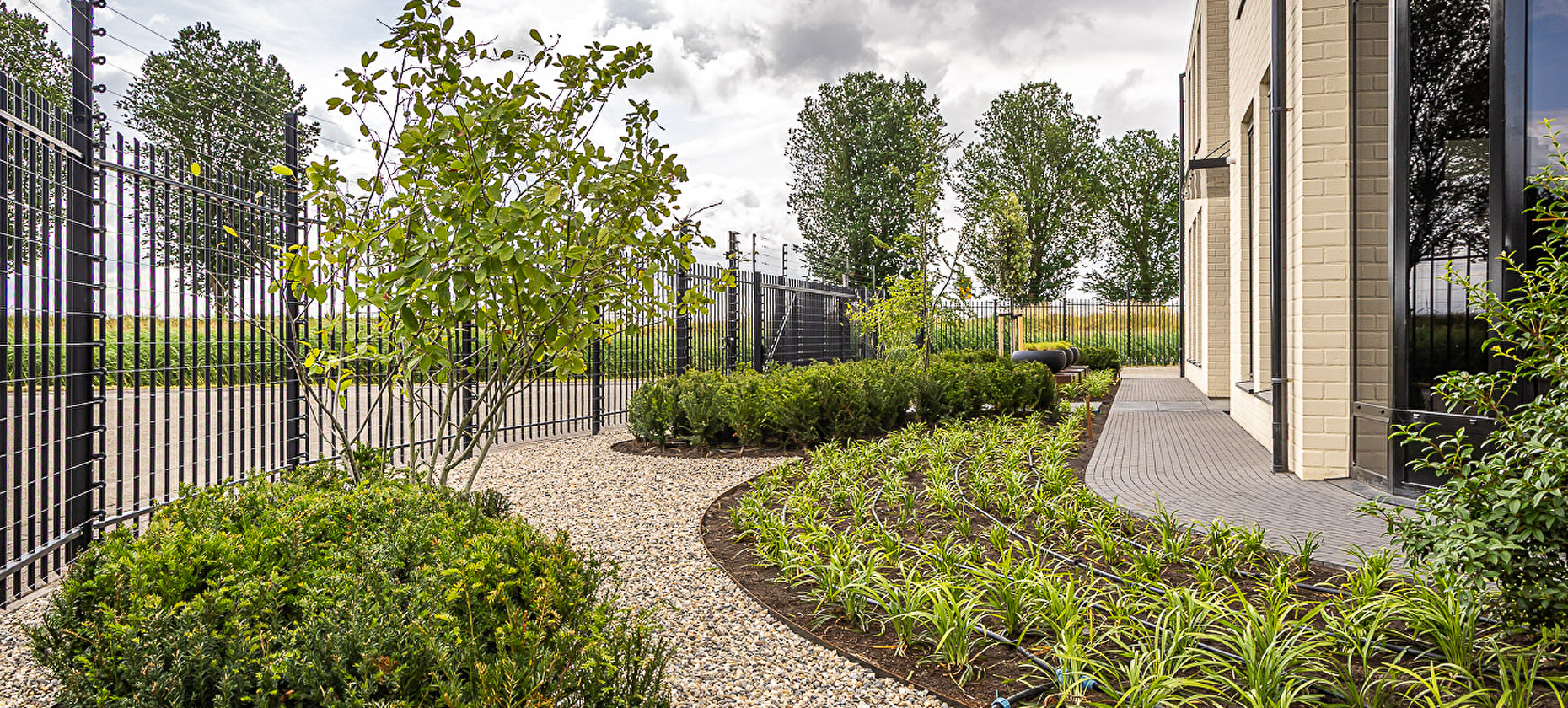 Organische kantoortuin