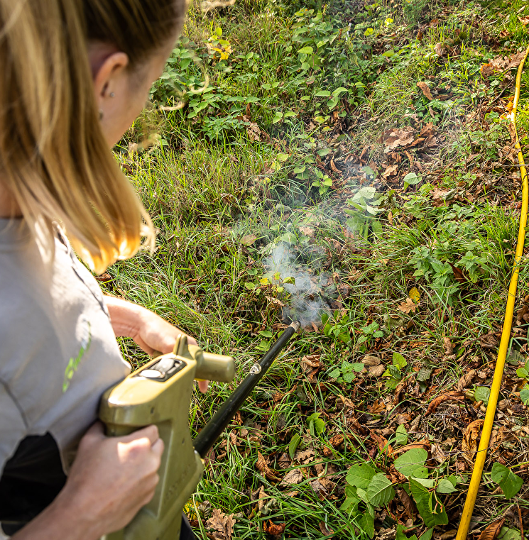 De kracht van Rootwave Pro
